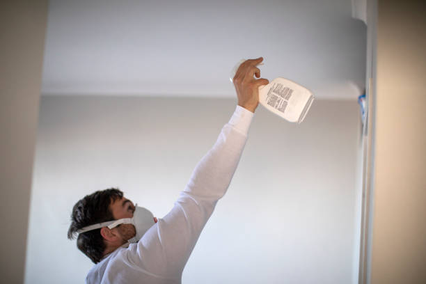 Best Crawl Space Mold Removal  in Monticello, KY